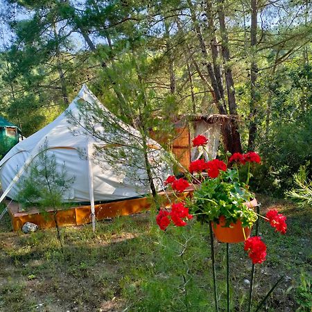 Hotel Vinsan Glamping & Wellness Centre Eleousa Exteriér fotografie